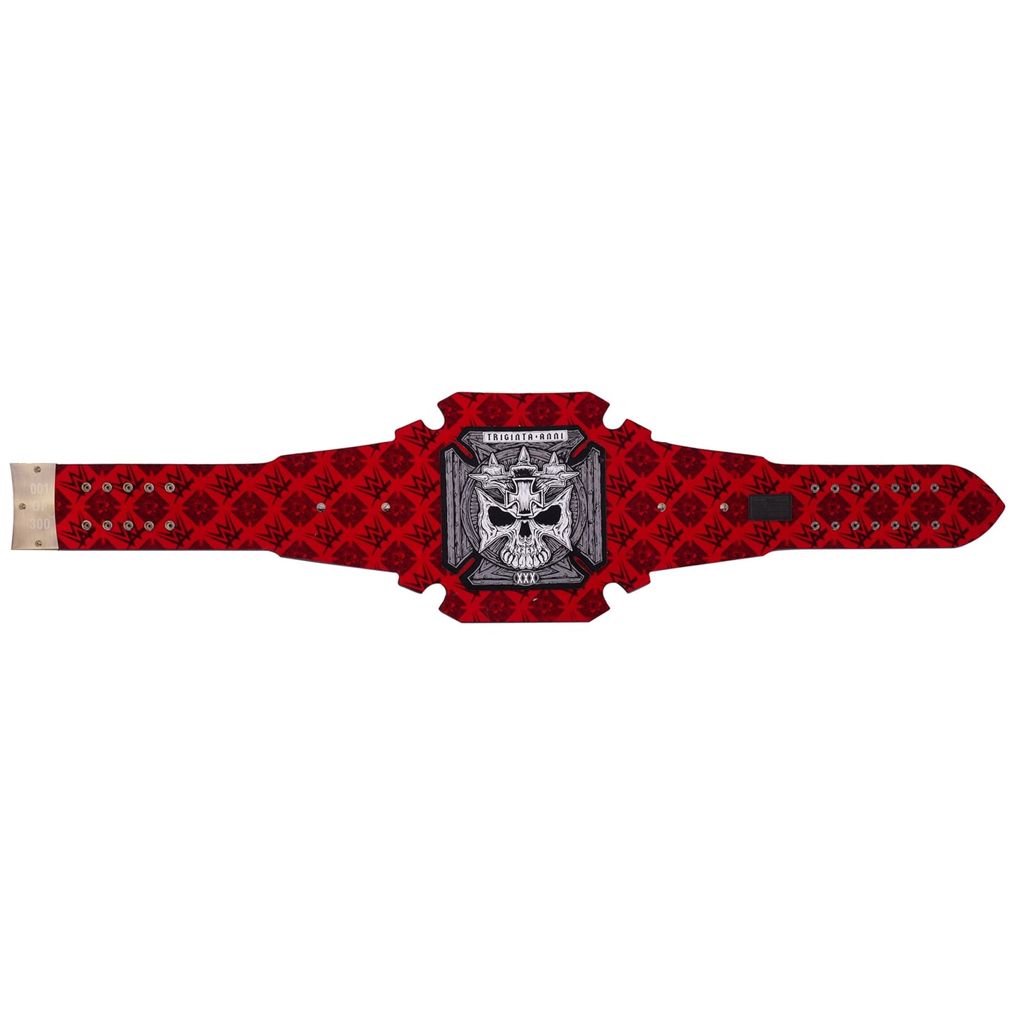 Triple H 30 Years The Authority WWE Championship Inspired Title Belt